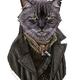 Illustration for article titled Doctor Mew returns, with War Cat and Capaldi Cat